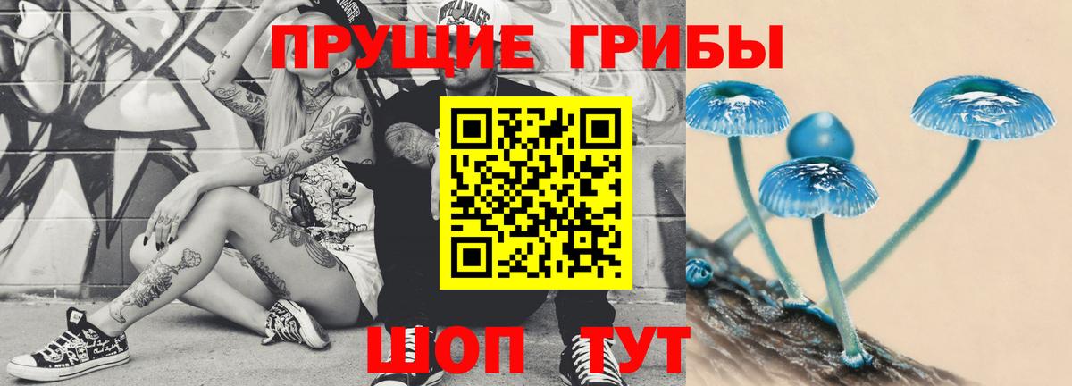 продажа наркотиков  Псилоцибиновые грибы мицелий  Вход с VPN  Каменск-Уральский 